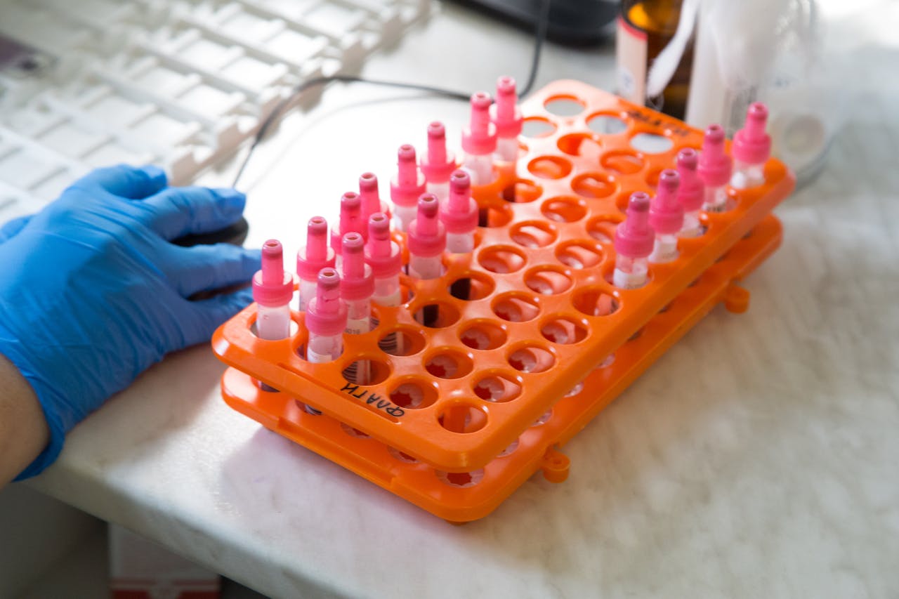 Syntetická biologie: Když vědci přepisují kód samotného života